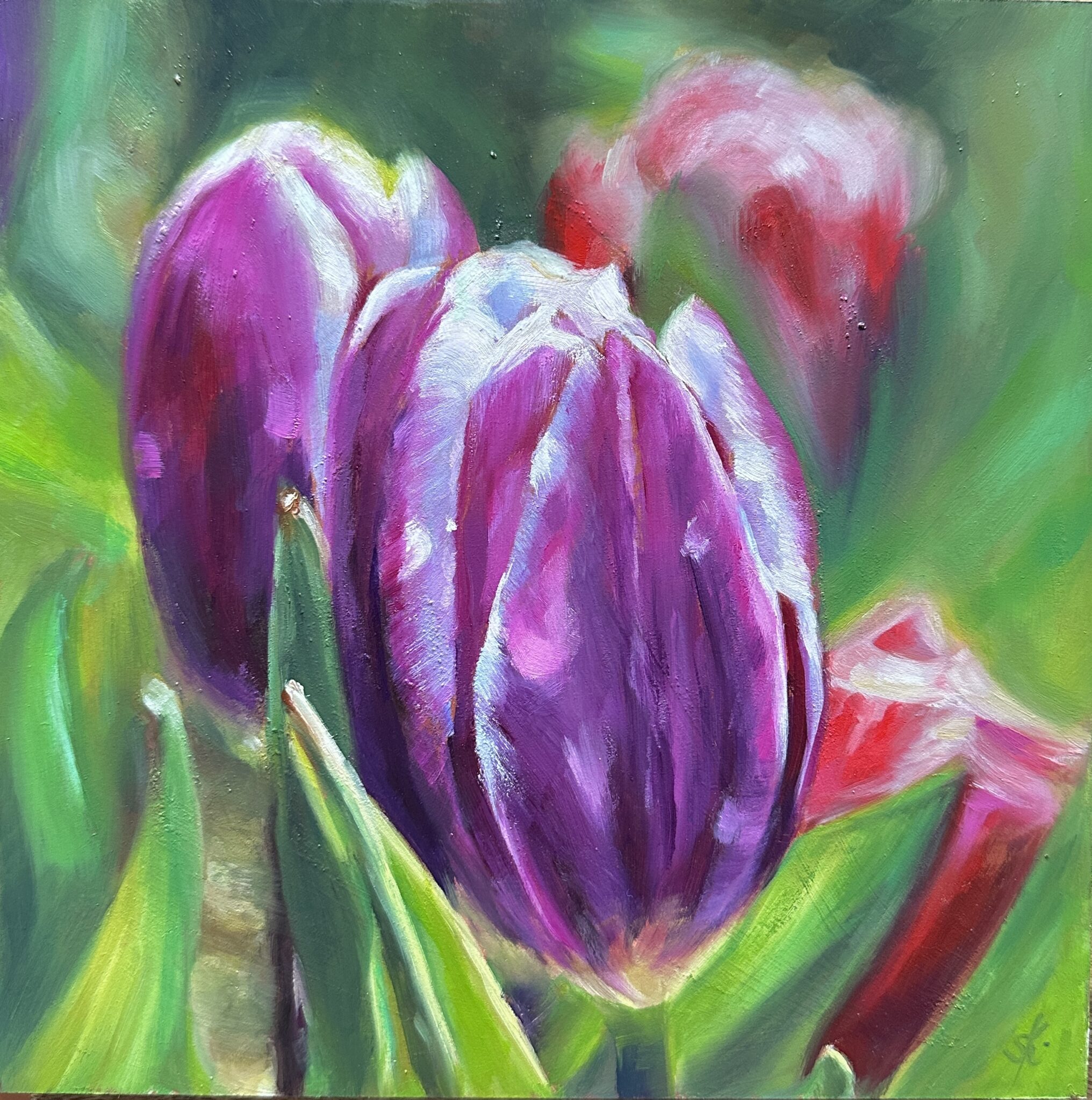 sabine-kunze-lgem-lde-lila-tulpen-daily-painting